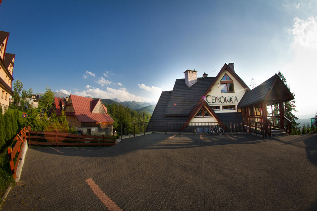 Apartament M5 Zakopane Rum bild